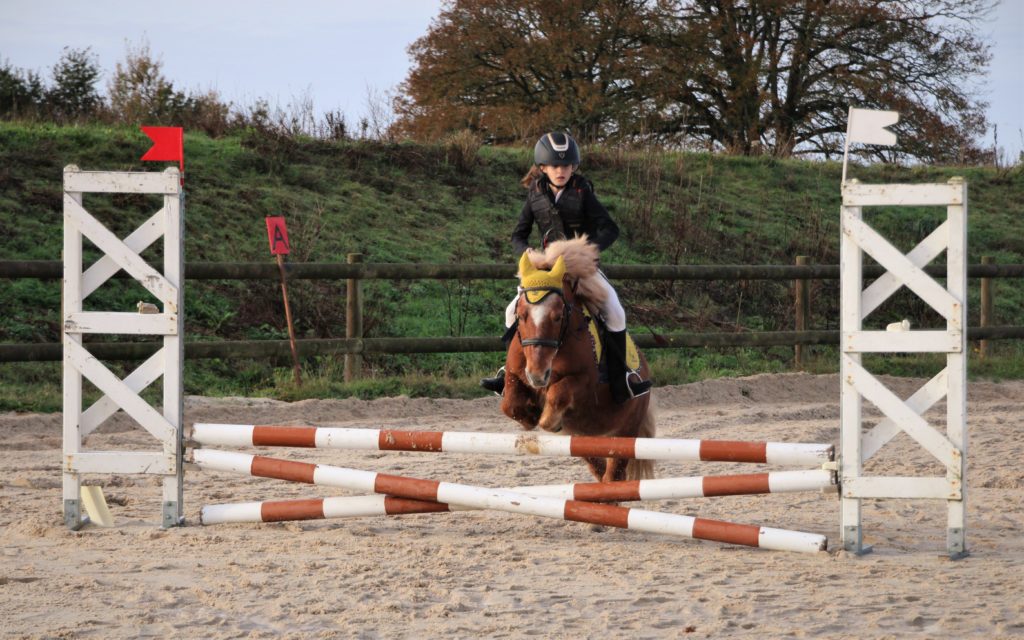poney-club shetland concours