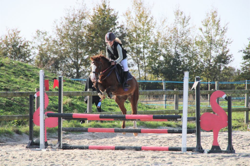 poney-club shetland